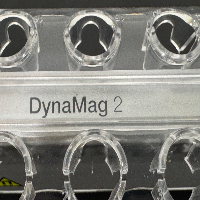 Invitrogen DynaMag 2 image 3